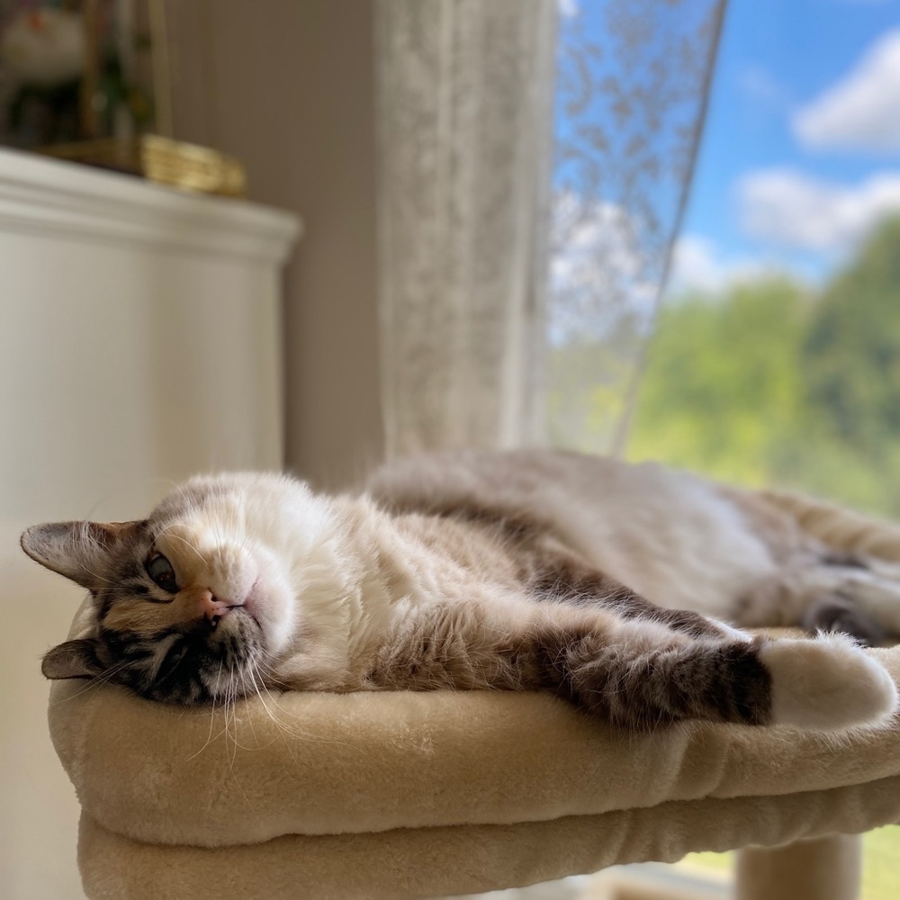 Meet your Posher, Hyunjae